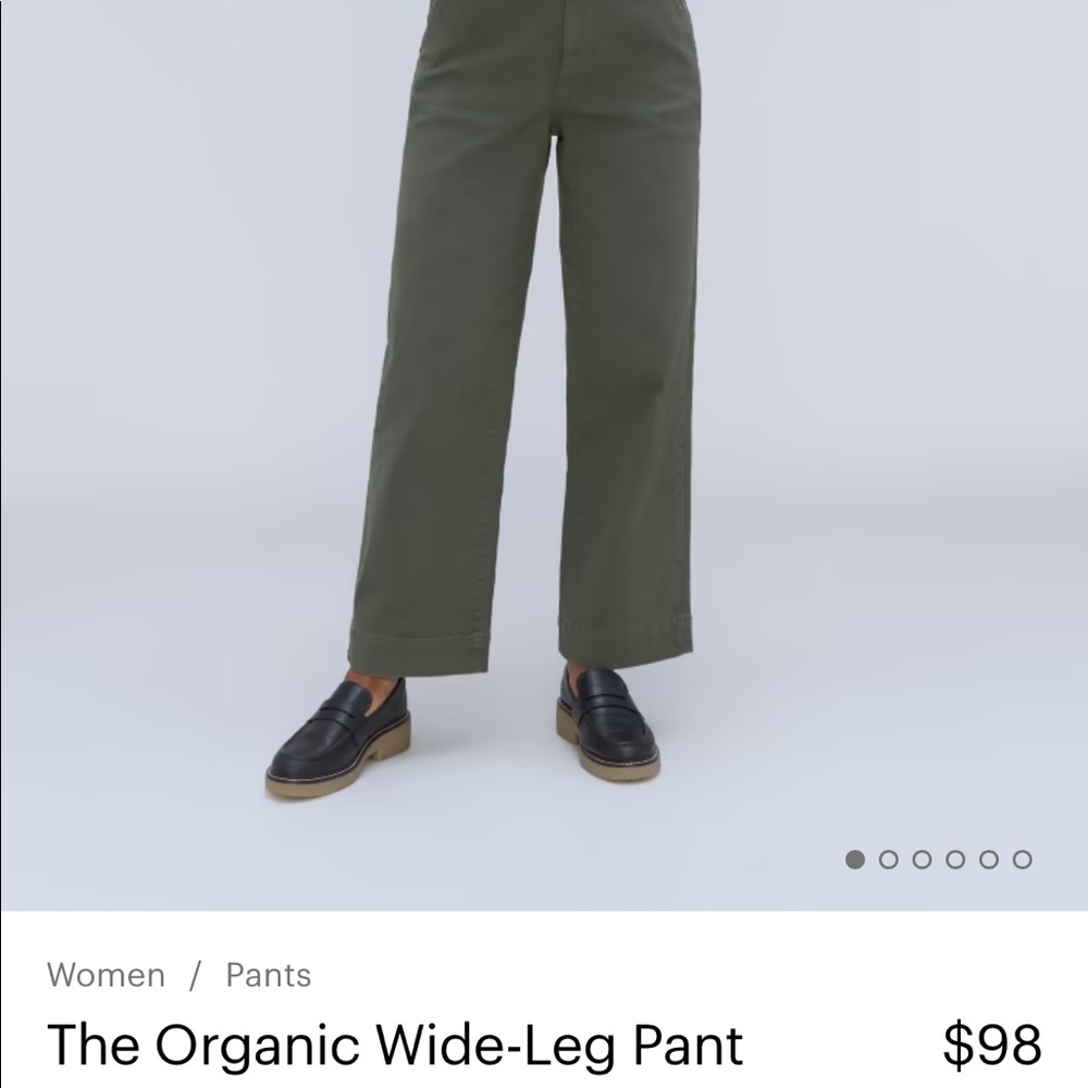 Everlane Wide Leg Crop Pants